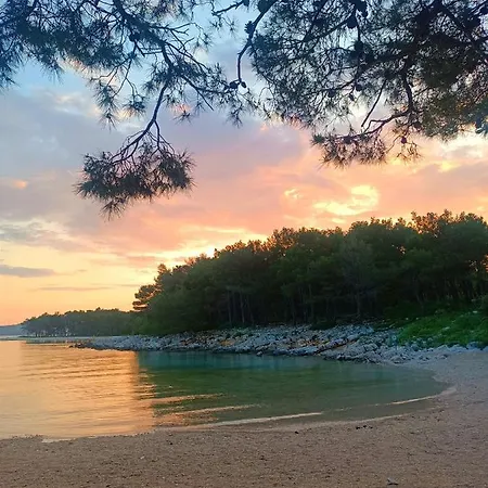 Lejlighedshotel Vila Elka *